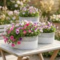 Set de 3 coupes ovales blanches en métal avec motifs ajourés, style Shabby Chic | Floristik24.fr