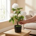 Pivoine Artificielle en Pot - Blanche - H57 cm | Floristik24.fr
