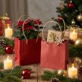 Sachets cadeaux en papier rouge 12×12×12 cm avec poignées - Lot de 6 | Floristik24.fr