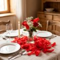 Plumes Décoratives Rouges 5-10 cm - 30 g | Floristik24.fr