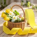 Ruban en feutre jaune 7,5 cm x 5 m – 100 % laine | Floristik24.fr