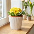 Manchettes Plissées Décoratives Blanches 8,5 cm - Lot de 100 | Floristik24.fr