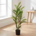 Fausse fougère verte en pot – Hauteur 80 cm | Floristik24.fr