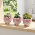Mini pots en céramique fleuris Ø8cm H7cm, lot de 3 | Floristik24.fr