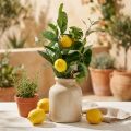 Branche décorative artificielle citron et olive 50 cm pour déco estivale | Floristik24.fr