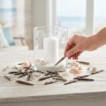 Épines de oursin naturelles 3-8 cm 450 g – Décoration marine | Floristik24.fr