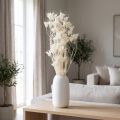 Fleurs séchées Nigella blanche 70 cm 50 g | Floristik24.fr