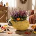 Poterie décorative en forme de poire en béton 25×13×11cm jaune et vert | Floristik24.fr