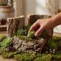 Ensemble de 5 pièces d'écorce de liège naturel pour loisirs créatifs et décoration, 30 x 20 cm | Floristik24.fr