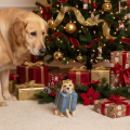 Dekofigur chien assis chiot en paquet-cadeau résine 20 cm | Floristik24.fr