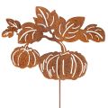 Floristik24 Décoration de Jardin en Métal Rouillé avec Motif Citrouille 100 cm