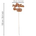 Décoration de Jardin en Métal Rouillé avec Motif Citrouille 100 cm | Floristik24.fr