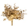 Floristik24 Branche décorative artificielle eucalyptus doré, 24 cm