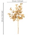 Branche décorative artificielle eucalyptus doré, 24 cm | Floristik24.fr