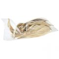 Floristik24 Coquilles de noix de coco feuilles de coco blanchies 22-42cm 25pcs