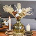 Floristik24 Herbe ornementale séchée pour décoration floristique sèche nature H55cm