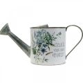 Floristik24 Pot de fleur arrosoir hortensia décoration de jardin cache-pot métal 15cm