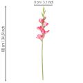 Kalligraphie de Gladiole Artificielle avec Fleurs Décoratives Rose 88 cm | Floristik24.fr