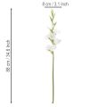 Gladiolus artificielle blanche, tige longue 88 cm, décoration intérieure | Floristik24.fr