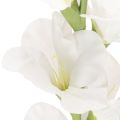Gladiolus artificielle blanche, tige longue 88 cm, décoration intérieure | Floristik24.fr