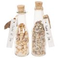 Floristik24 Set de 2 bouteilles en verre décoratives avec coquillages et bouchon en liège 17 cm