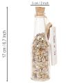 Set de 2 bouteilles en verre décoratives avec coquillages et bouchon en liège 17 cm | Floristik24.fr