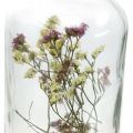Floristik24 Verre avec bougeoir, verre décor fleurs séchées H16cm Ø8.5cm