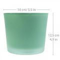Floristik24 Cache-pot en verre jardinière verte pot en verre Ø14.5cm H12.5cm
