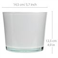 Floristik24 Cache-pot en verre bac à fleurs en verre blanc Ø14,5cm H12,5cm