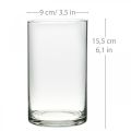 Vase en verre rond, cylindre en verre transparent Ø9cm H15,5cm