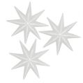 Floristik24 Étoile scintillante blanche 10cm 12pcs