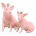 Floristik24 Set de figurines décoratives cochon porte-bonheur avec couronne dorée 12 × 7 × 13cm / 9,2 × 5,5 × 10cm 2pcs