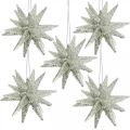 Floristik24 Étoiles scintillantes pour accrocher des décorations de sapin de Noël champagne 7,5 cm 8 pièces