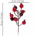 Branche artificielle de grenade rouge, 19 cm, à tiges ramifiées, lot de 4 pour vase et compositions | Floristik24.fr