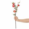 ProductNameBranche artificielle de grenades rouges de 68 cm pour décoration de table/	ProductName
ProductDescription<h2>Branche artificielle de grenades pour décorer la maison</h2>
<p>Cette branche artificielle ornée de grenades rouges mesure 68 cm de lon | Floristik24.fr