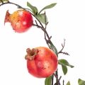 ProductNameBranche artificielle de grenades rouges de 68 cm pour décoration de table/	ProductName
ProductDescription<h2>Branche artificielle de grenades pour décorer la maison</h2>
<p>Cette branche artificielle ornée de grenades rouges mesure 68 cm de lon | Floristik24.fr