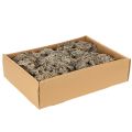 Graumoos naturel 500 g pour décoration intérieure et loisirs créatifs | Floristik24.fr