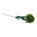 Floristik24 Fleur artificielle d&#39;oeillet barbu vert comme du jardin 54cm