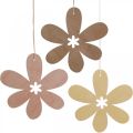 Floristik24 Fleur décorative pendentif en bois fleur en bois violet/rose/jaune Ø12cm 12 pièces