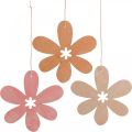 Floristik24 Déco fleur pendentif en bois fleur en bois orange/rose/jaune 12 pièces