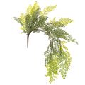 Floristik24 Branche de Fougère Artificielle Fine pour Décoration 80cm