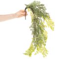 Branche de Fougère Artificielle Fine pour Décoration 80cm | Floristik24.fr