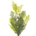 Branche de Fougère Artificielle Fine pour Décoration 80cm | Floristik24.fr