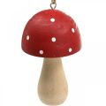 Floristik24 Agaric tue-mouches champignons décoratifs champignon en bois à suspendre H8.5cm 6pcs