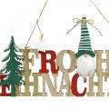 Floristik24 Lettrage en bois Joyeux Noël décoration de porte Noël