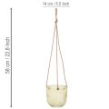 Pot suspendu en verre, pot décoratif en verre, style rétro, vert/marron, 14,5 cm, lot de 2 | Floristik24.fr