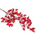 Branche de faux cynorrhodons avec baies brillantes 62 cm | Floristik24.fr