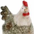 Floristik24 Figurines décoratives poule et coq gris, blanc, rouge 10,2 cm x 7 cm H12,7 cm 2 pièces