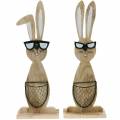 Floristik24 Lapins en bois avec lunettes de soleil et panier nature, décoration de Pâques, figurine de lapin avec panier de plantes, décoration de printemps 2pcs