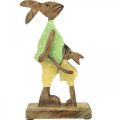 Floristik24 Lapin de Pâques avec enfant, décoration printanière en bois, père lapin, Pâques nature, vert, jaune H22cm
